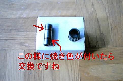 Dio�̃s�X�g���s��&�x�A�����O�ł�