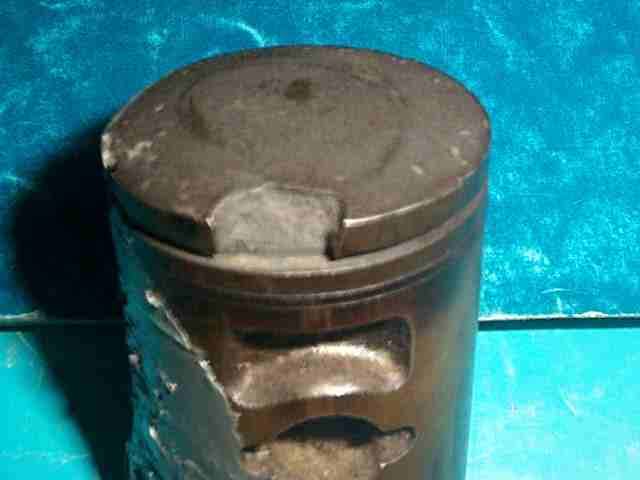 �����Ɋp�������ł���(��